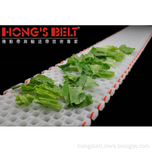 The Vegetable Industry Modular Conveyor Belt (HS-501B)